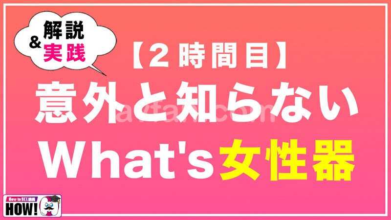 How to学園 観たら【絶対】SEXが上手くなる教科書AV 初級編