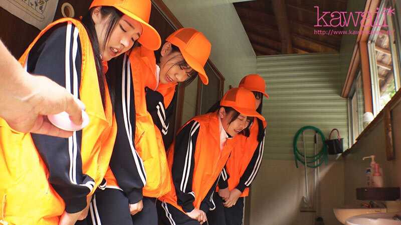 綺麗な心で地域支援に励むボランティア女子学生のわいせつ映像流出