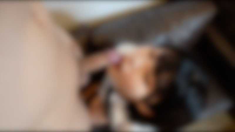 3日間！【顔出し】もはやアイドル！！無敵のルックス第2弾！！ここでしか見れない『上玉』。制服バージョン解禁。