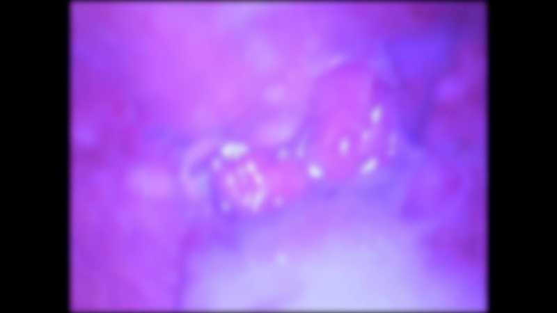 特典で無修正と膣内カメラ ♀147 かわいくてスレンダー美乳BODYの彫刻みたいな肉体美を眺めながらたっぷり中出し♡