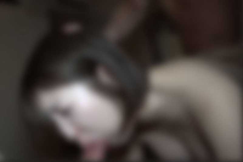 ※10日まで初回75％【顔出し】【3ｐ】【中出し】本・気でイ/ヤがるむっちり人妻の苦/痛に満ちた表情を是非ご覧ください。