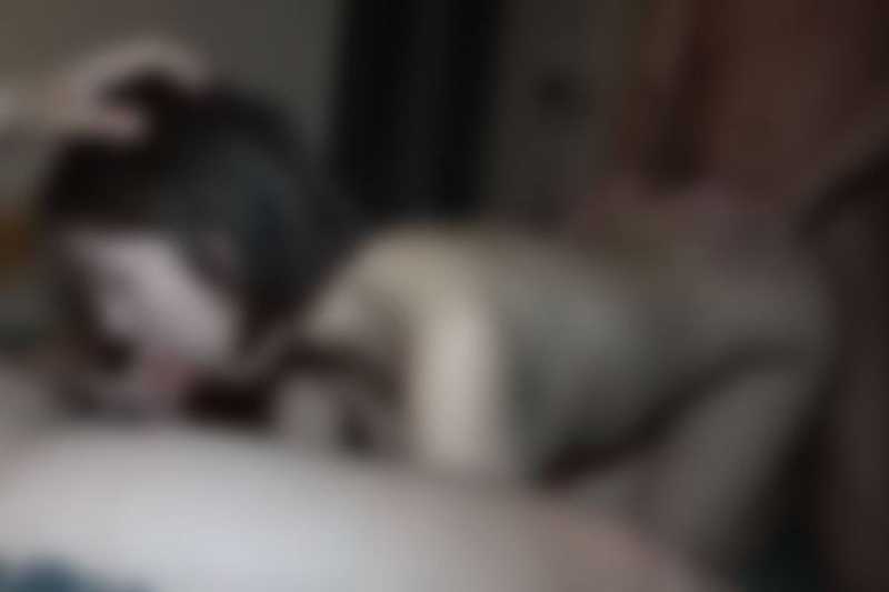 ※10日まで初回75％【顔出し】【3ｐ】【中出し】本・気でイ/ヤがるむっちり人妻の苦/痛に満ちた表情を是非ご覧ください。