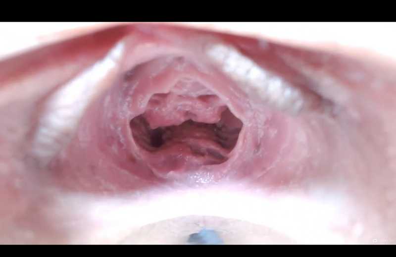 SS級の二人による、超豪華タッグ！こんな最高の宴はありません