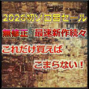 【ゾロ目セール】　前半　無.最強美女さかなちゃん人生初のハメ撮りに挑戦　大容.量パック　レビ.ュー特.典付き
