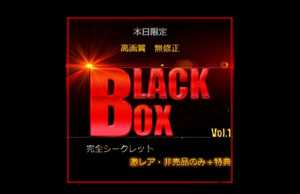 ＜本日限定＞先着割：超激レアな財宝。人気・高額商品？？？万pt BLACK BOX VOL.1