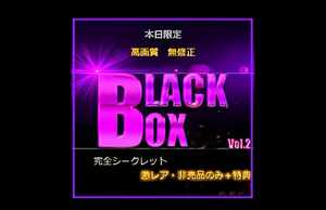 ＜本日限定＞先着割：超激レアな財宝。人気・高額商品？？？万pt BLACK BOX VOL.2
