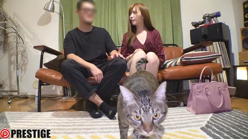 Absolute Beautiful Girls, Available for Rent. Nationwide Special BEST 8 Hours ACT.01 - Original AV Actress Home Visit Documentary! Featuring Airi Suzumura, Shunka Ayami, Mion Sonoda, Maria Aine, Rui Hasegawa