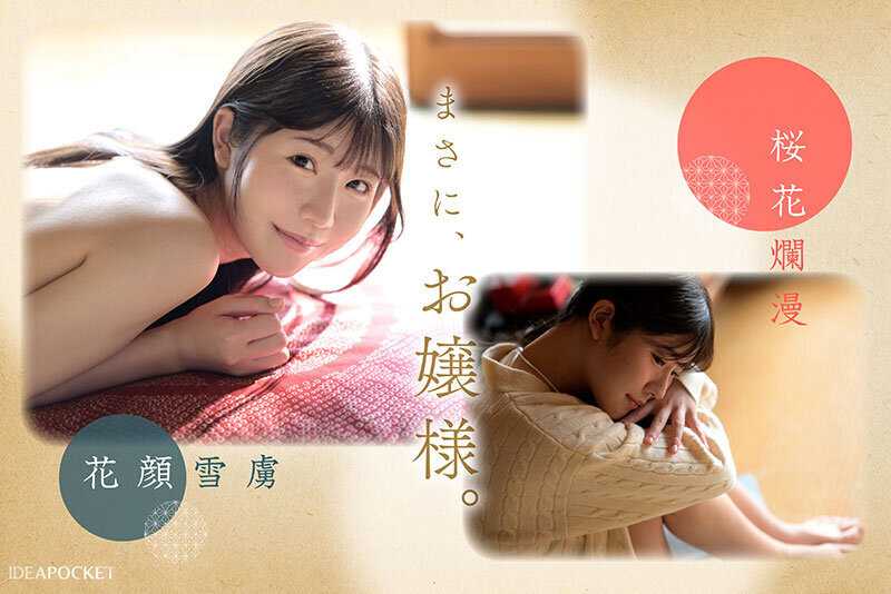 FIRST IMPRESSION 188 上品で癒しの雰囲気から想像つかない意外性 坂井美桜