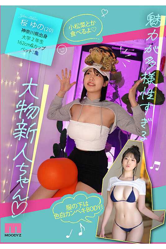 Newcomer Ah... ah... Is that voice Aoi chan? One billion charm points Innocent and pure girl AV debut 4 hours SP Sakura Yuno