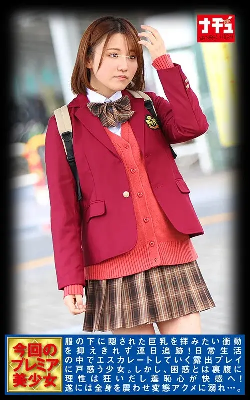 Natural High 25th Anniversary Special: Full Nude Train Exposure Edition - Making Reluctant Beautiful Big-Breasted Schoolgirls Accept Public Shame Pleasure and Mass Covering - 5 Works Collection 2-Disc Set