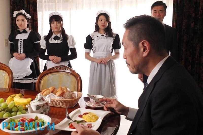 During the week when the master is away, I am continuously subjected to internal ejaculation by the gloomy butler... Aika Yamagishi[Origin]