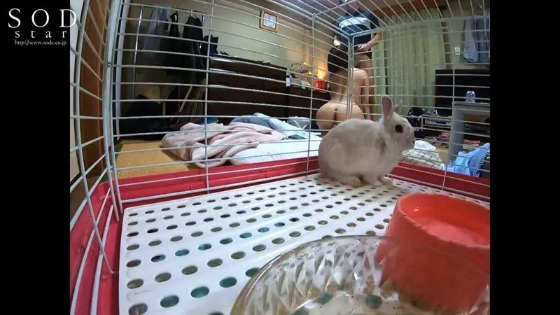 Nishino Shou's First Private Hidden Camera! Breaking her declared celibacy after the transfer event, shockingly spending an entire day having multiple intimate encounters with a middle-aged enthusiast - now fully revealed![Origin]